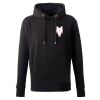 Men's Anthem hoodie Thumbnail